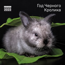 Календарь настенный «Год черного кролика» 2023 год, 30x30 см 9281434 - фото 815536