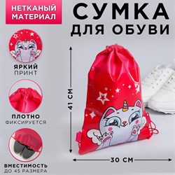 Мешок для обуви н/полотно"Единокот"  41*30*0,5см 4276506 - фото 816697