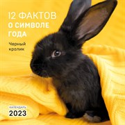 Календарь настенный «12 фактов о символе года. Черный кролик» 2023 год, 30х30 см 9240678