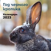 Календарь настенный «Год черного кролика» 2023 год, 30х30 см 9240667