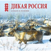 Календарь настенный на 16 месяцев «Дикая Россия» 2023 год, 30х30 см 9240670