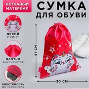 Мешок для обуви н/полотно"Единокот"  41*30*0,5см 4276506