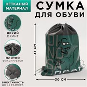 Сумка для обуви "Динозавр" 41*30*0,5см 4757196