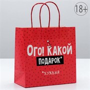 Пакет подарочный «Ого! Какой подарок», 22 × 22 × 11 см 4865438