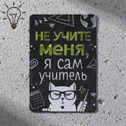 Магнит светящийся «Учитель», 8 х 5,5 см 9279451