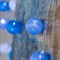 Гирлянда «Нить» 5 м с насадками «Клубки морские», IP20, прозрачная нить, 20 LED, свечение белое, 220 В 5985177