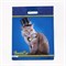 Пакет "Кот джентльмен", полиэтиленовый, с вырубной ручкой, 38 х 47 см, 60 мкм 9019442