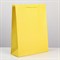 Пакет ламинированный «Жёлтый», L 31 х 40 х 11,5 см 6582781