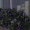 Гирлянда «Нить» 10 м, IP65, УМС, тёмная нить, 100 LED, свечение синее, мерцание белым, 220 В 3584128