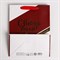 Пакет ламинированный вертикальный «Счастья в Новом году», MS 18 × 23 × 10 см 4843461