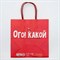 Пакет подарочный «Ого! Какой подарок», 22 × 22 × 11 см 4865438