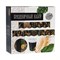 Набор бумажной посуды «С днём рождения», тропики, 6 тарелок, 6 стаканов, 1 гирлянда 6853488
